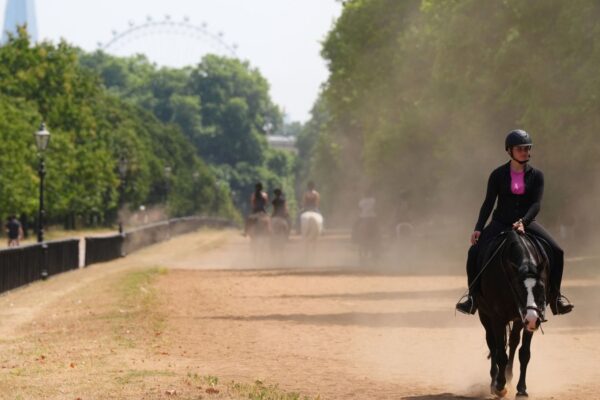 Extreme weather becoming the norm in the UK, Met Office warns | Science, Climate & Tech News